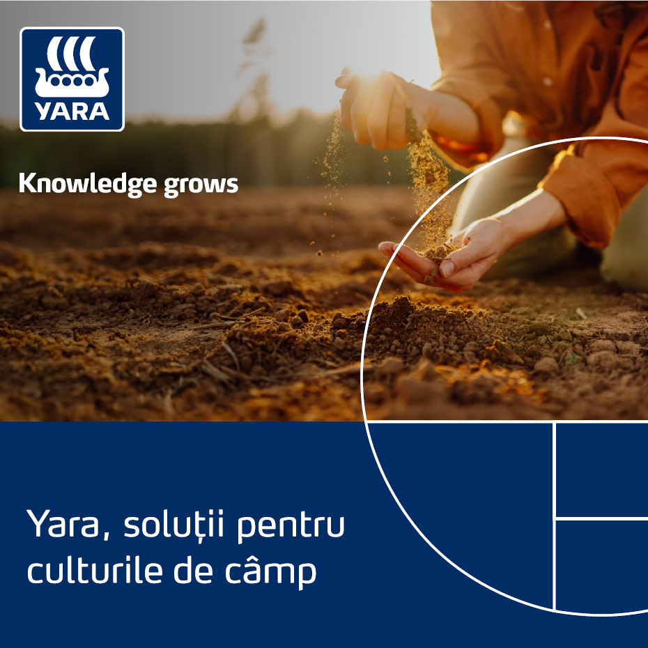 catalog yara 2026